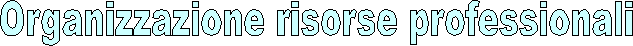 Organizzazione risorse professionali
