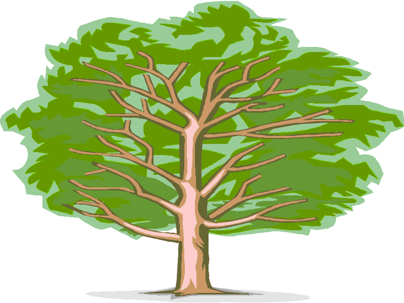 albero.gif (32550 byte)