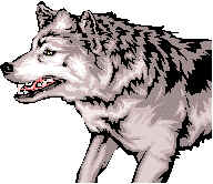 wpe3.jpg (7153 byte)