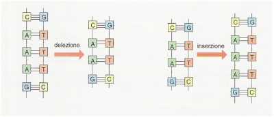 DNA26.jpg (6516 byte)